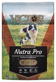 best puppy food  