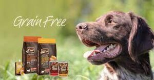 best puppy food  